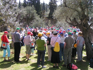 Pilgrims in Gethsemane